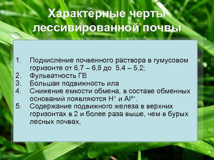 Характерные черты лессивированной почвы 1. 2. 3. 4. 5. Подкисление почвенного раствора в гумусовом