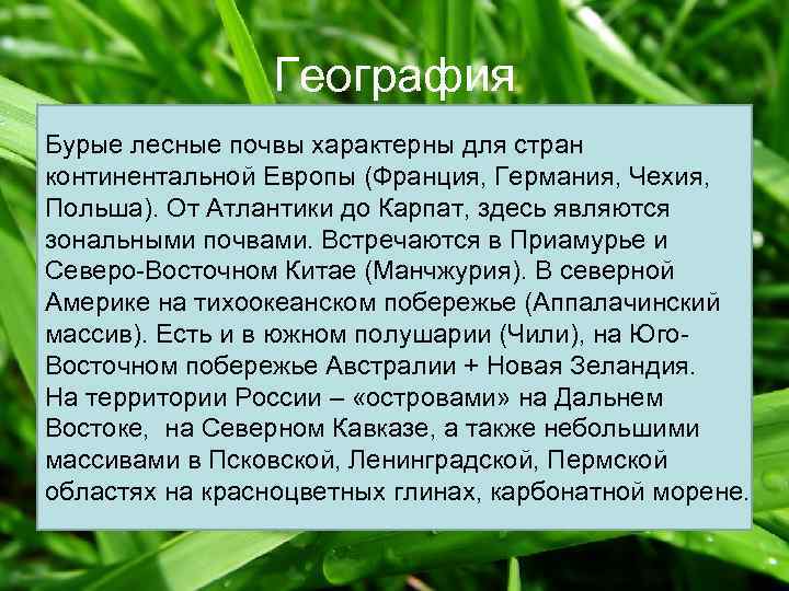 География Бурые лесные почвы характерны для стран континентальной Европы (Франция, Германия, Чехия, Польша). От
