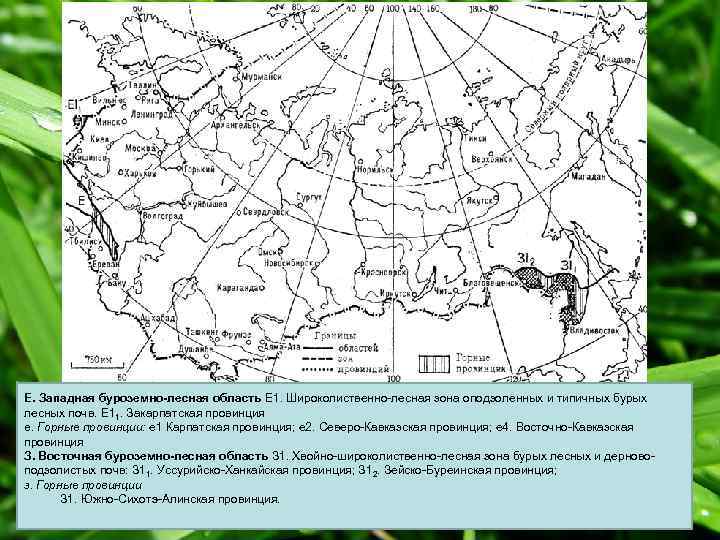 Е. Западная буроземно-лесная область Е 1. Широколиственно-лесная зона оподзоленных и типичных бурых лесных почв.