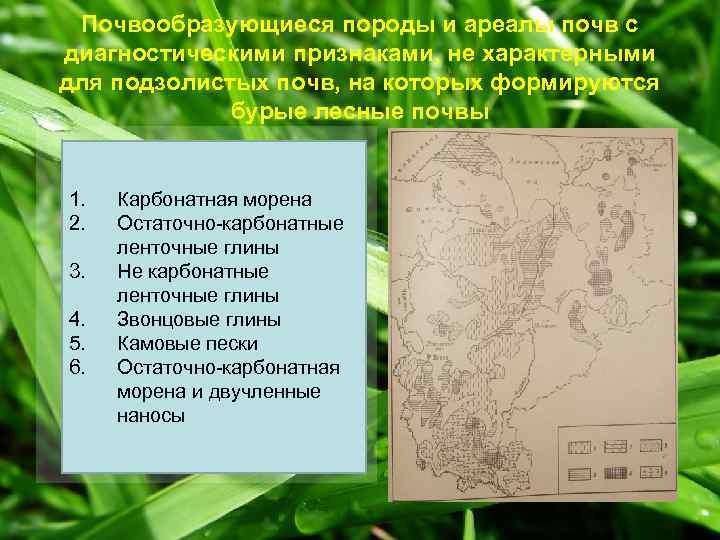 Почвообразующиеся породы и ареалы почв с диагностическими признаками, не характерными для подзолистых почв, на