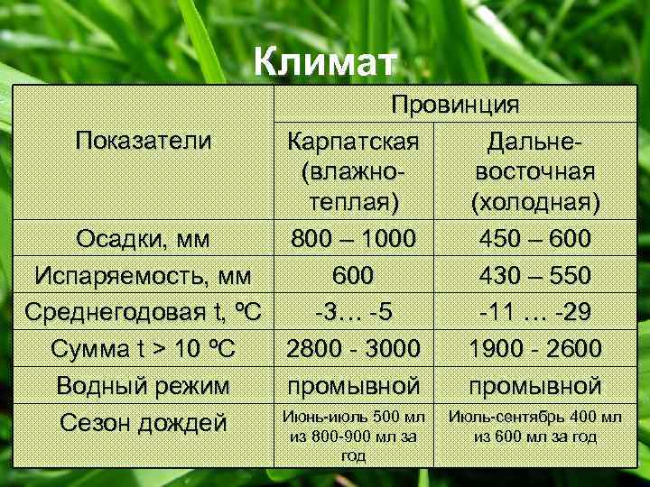 Климат Провинция Показатели Карпатская Дальне(влажновосточная теплая) (холодная) Осадки, мм 800 – 1000 450 –