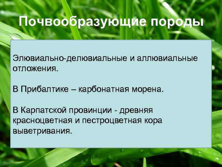 Почвообразующие породы Элювиально-делювиальные и аллювиальные отложения. В Прибалтике – карбонатная морена. В Карпатской провинции
