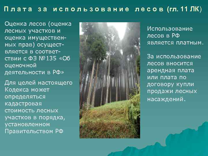 П л а т а з а и с п о л ь з