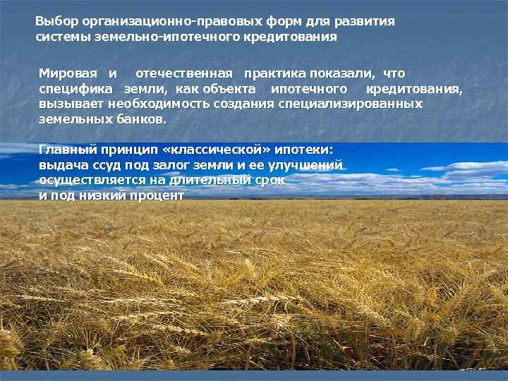 Выбор организационно-правовых форм для развития системы земельно-ипотечного кредитования Мировая и отечественная практика показали, что