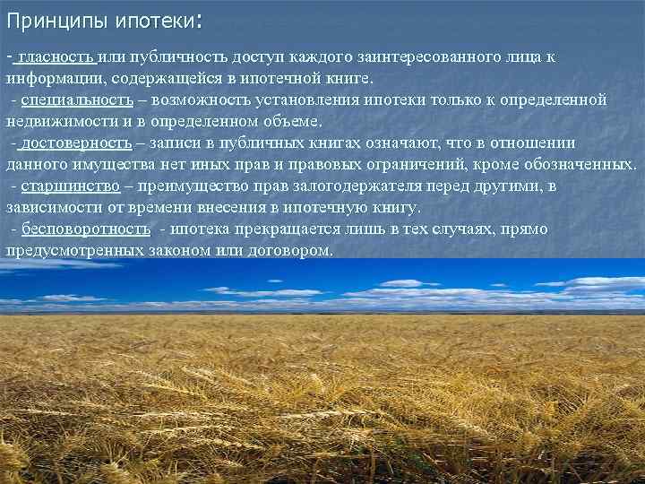 Принципы ипотеки: - гласность или публичность доступ каждого заинтересованного лица к информации, содержащейся в