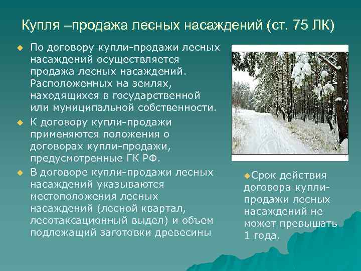 Купля –продажа лесных насаждений (ст. 75 ЛК) u u u По договору купли-продажи лесных