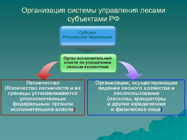 Организация системы управления лесами субъектами РФ Субъект Российской Федерации Орган исполнительной власти по управлению