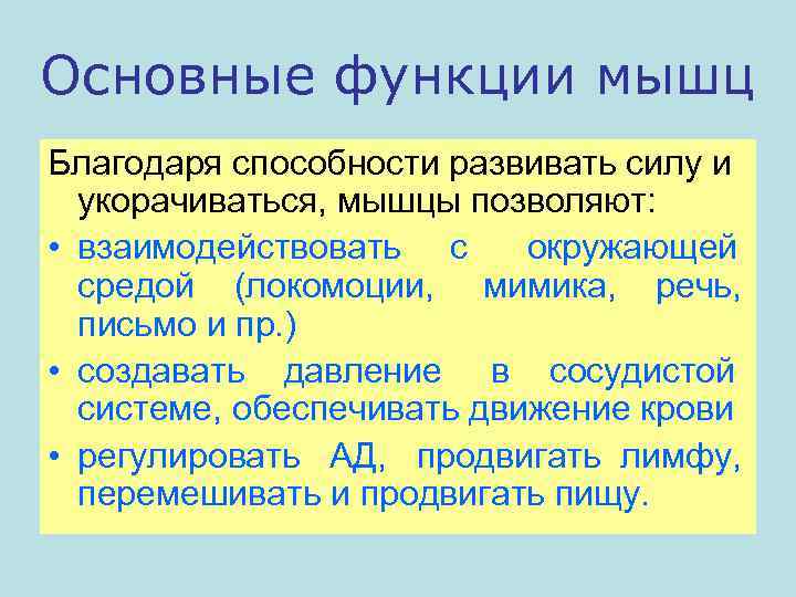 Основные функции мышц Благодаря способности развивать силу и укорачиваться, мышцы позволяют: • взаимодействовать с