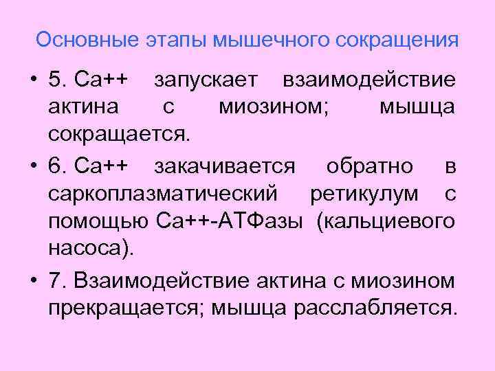 Роль кальция в сокращении. Роль кальция в процессе сокращения мышц. Роль кальция в мышечном сокращении. Роль ионов кальция в мышечном сокращении. Кальций при сокращении мышц.