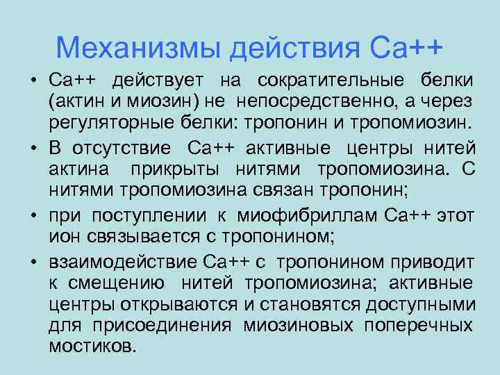 Механизмы действия Са++ • Са++ действует на сократительные белки (актин и миозин) не непосредственно,