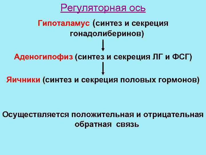   Регуляторная ось  Гипоталамус (синтез и секреция    гонадолиберинов) 