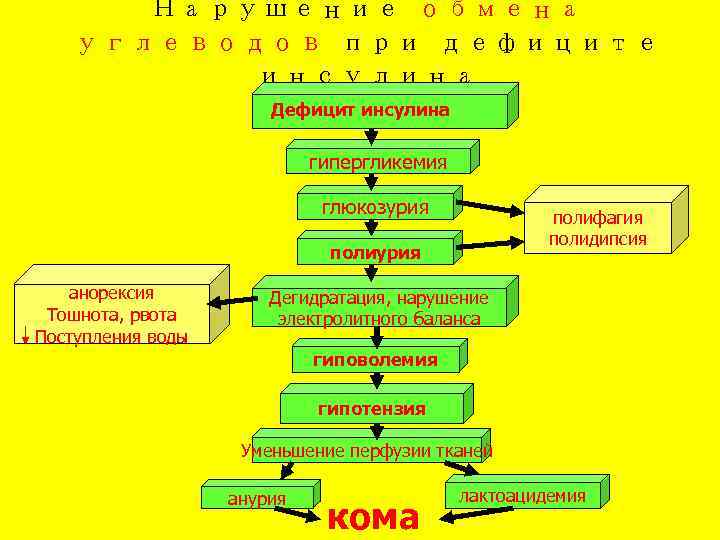  Нарушение обмена  углеводов при дефиците  инсулина    Дефицит инсулина