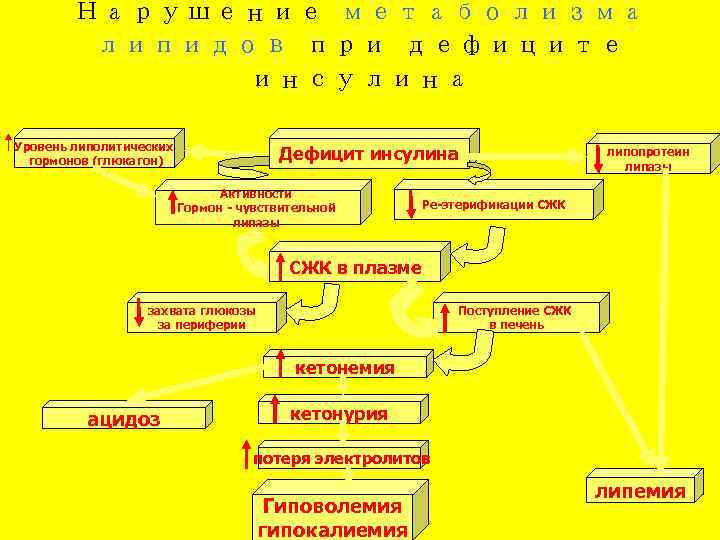   Нарушение метаболизма   липидов при дефиците    инсулина Уровень