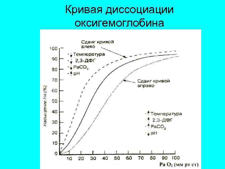 Кривая диссоциации оксигемоглобина 