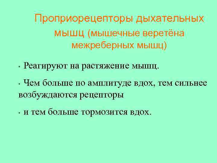  Проприорецепторы дыхательных   мышц (мышечные веретёна    межреберных мышц) 