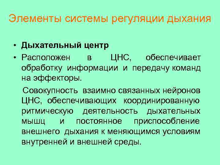 Элементы системы регуляции дыхания  • Дыхательный центр • Расположен в  ЦНС, обеспечивает