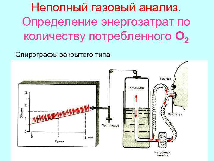  Неполный газовый анализ.  Определение энергозатрат по количеству потребленного О 2 Спирографы закрытого