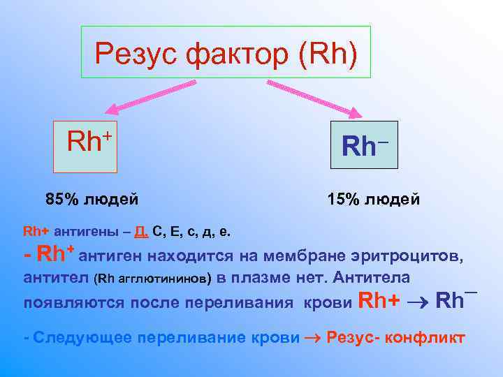 Антигенов резус rh. Резус фактор физиология. Резус фактор rh. Rh антиген находится. Резус антигены представлены на мембране эритроцитов.