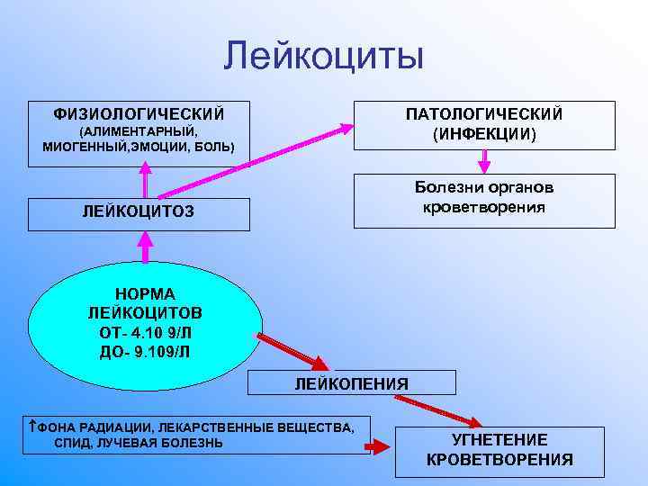 Лейкоциты ФИЗИОЛОГИЧЕСКИЙ ПАТОЛОГИЧЕСКИЙ (АЛИМЕНТАРНЫЙ, Лейкоциты ФИЗИОЛОГИЧЕСКИЙ ПАТОЛОГИЧЕСКИЙ (АЛИМЕНТАРНЫЙ,