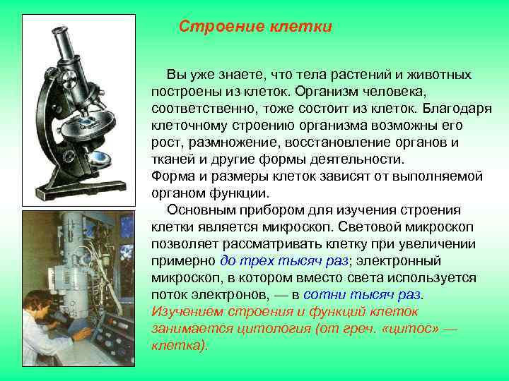   Строение клетки  Вы уже знаете, что тела растений и животных построены