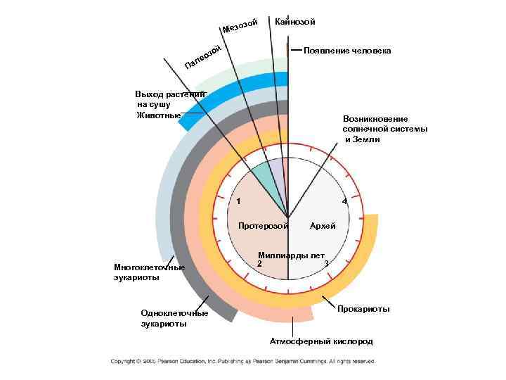        з ой  Кайнозой   