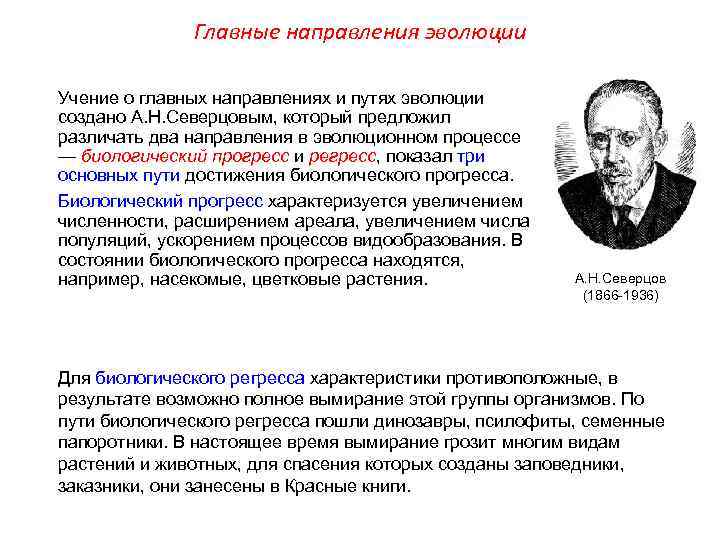    Главные направления эволюции Учение о главных направлениях и путях эволюции создано