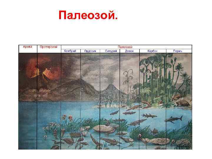 Палеозой. 