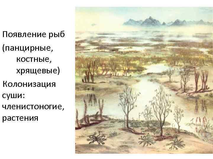 Появление рыб (панцирные, костные, хрящевые) Колонизация суши:  членистоногие,  растения 