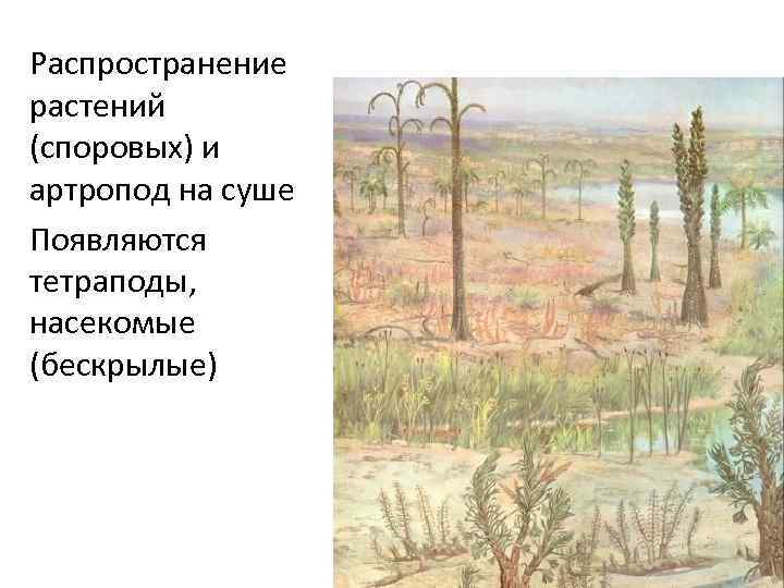 Распространение растений (споровых) и артропод на суше Появляются тетраподы,  насекомые (бескрылые) 
