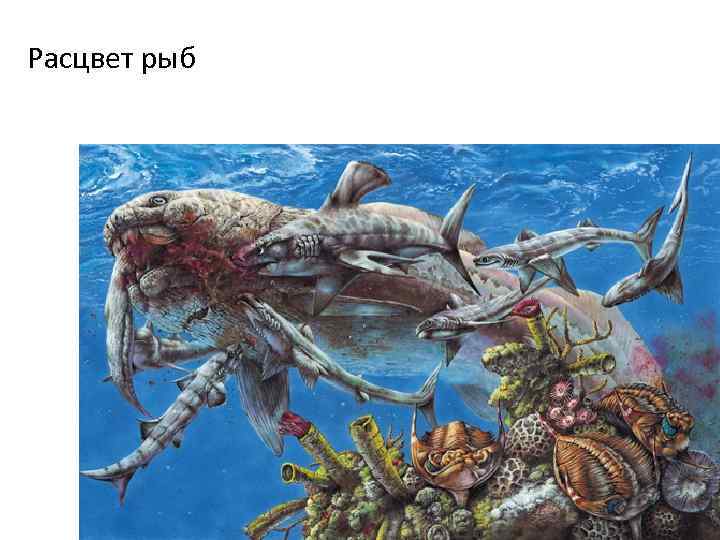 Расцвет рыб 