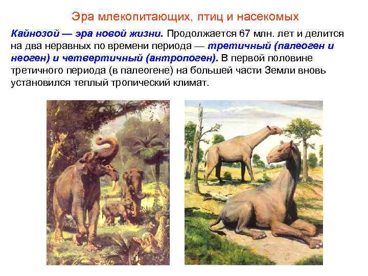 Эра млекопитающих, птиц и насекомых Кайнозой — эра новой жизни. Продолжается 67 Эра млекопитающих, птиц и насекомых Кайнозой — эра новой жизни. Продолжается 67