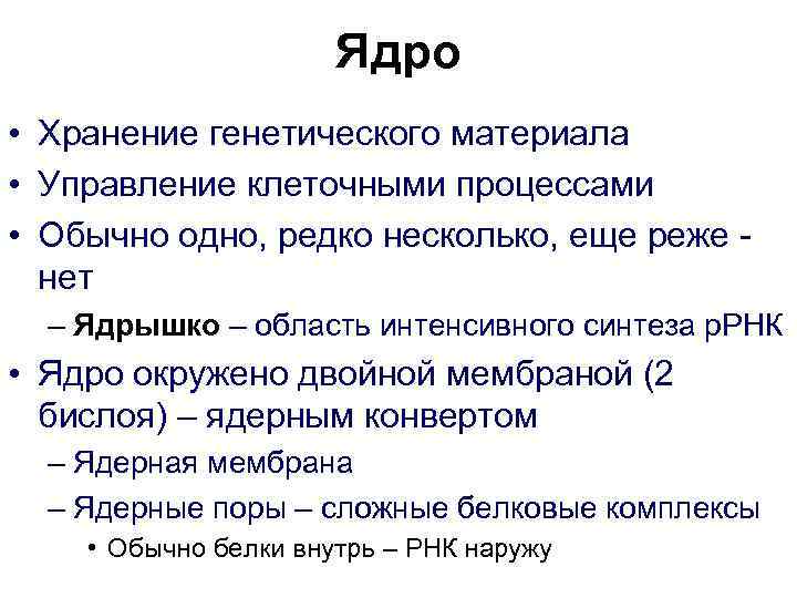      Ядро • Хранение генетического материала • Управление клеточными процессами
