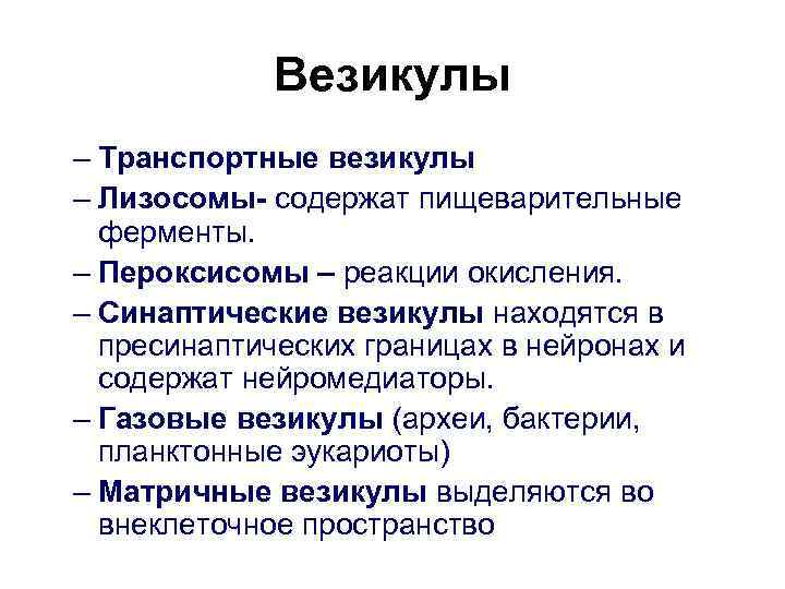    Везикулы – Транспортные везикулы – Лизосомы- содержат пищеварительные  ферменты. –