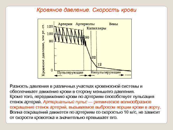   Кровяное давление. Скорость крови Разность давления в различных участках кровеносной системы и
