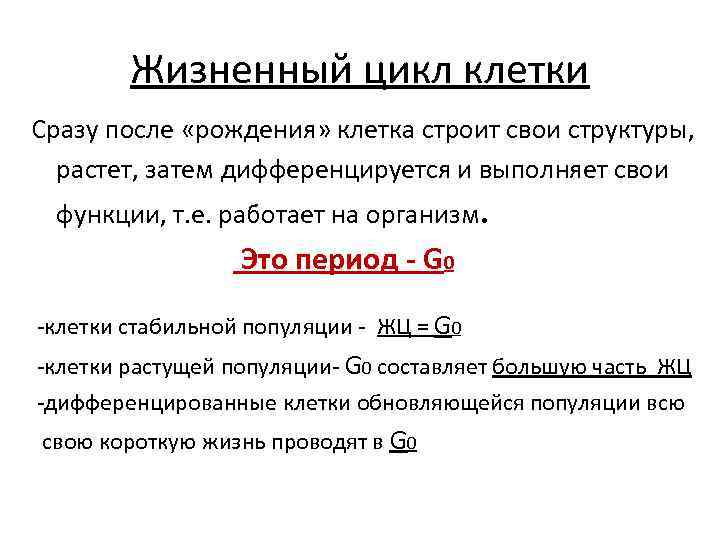   Жизненный цикл клетки Сразу после «рождения» клетка строит свои структуры,  растет,