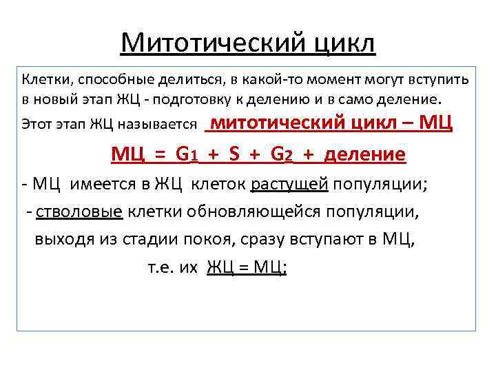    Митотический цикл Клетки, способные делиться, в какой-то момент могут вступить в