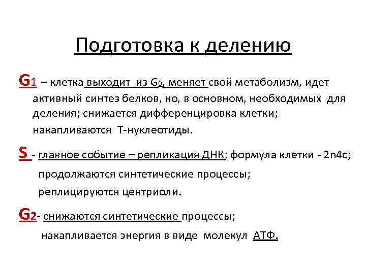    Подготовка к делению G 1 – клетка выходит из G 0,