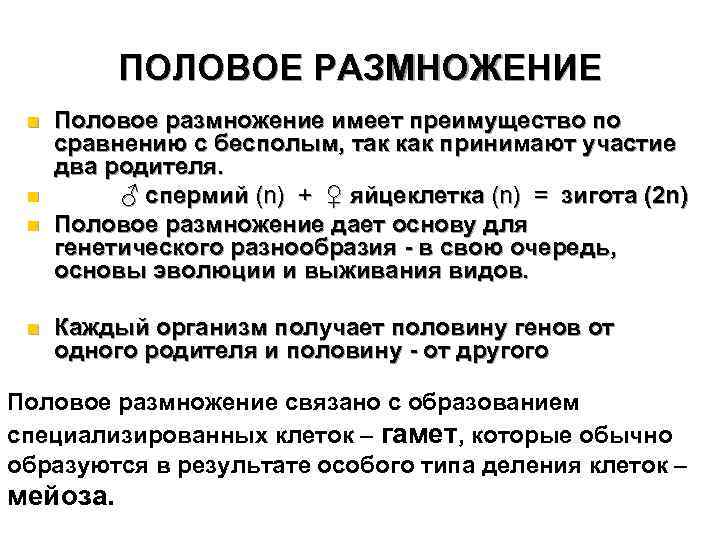 ПОЛОВОЕ РАЗМНОЖЕНИЕ n n Половое размножение имеет преимущество по сравнению с бесполым, так как