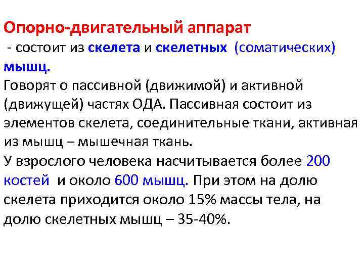 Опорно-двигательный аппарат - состоит из скелета и скелетных (соматических) мышц. Говорят о пассивной (движимой)