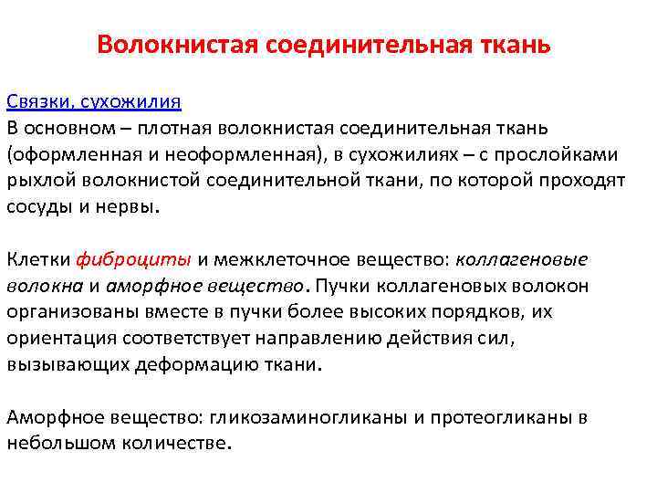   Волокнистая соединительная ткань Связки, сухожилия В основном – плотная волокнистая соединительная ткань
