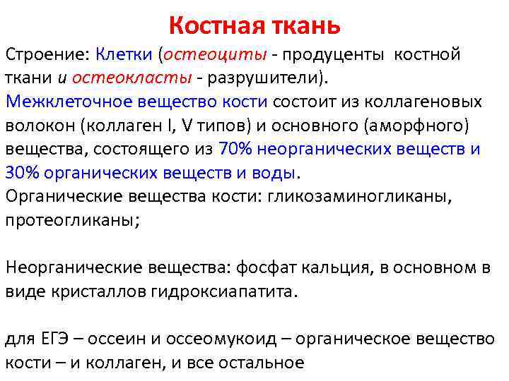    Костная ткань Строение: Клетки (остеоциты - продуценты костной ткани и остеокласты