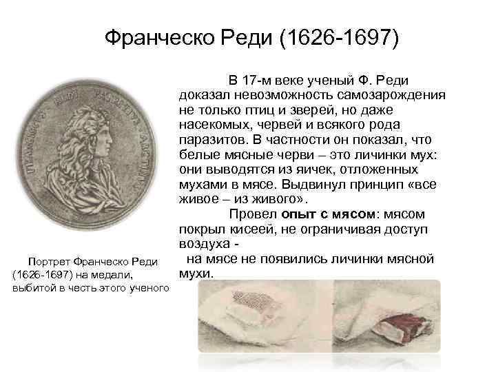    Франческо Реди (1626 -1697)    В 17 -м веке