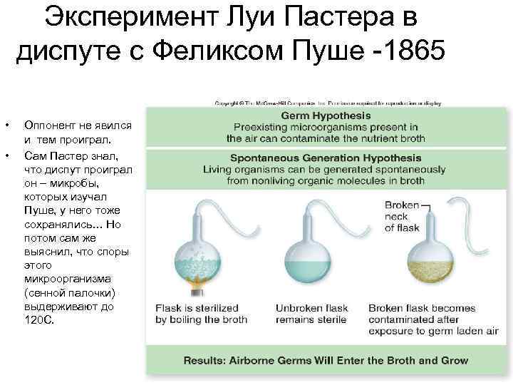  Эксперимент Луи Пастера в диспуте с Феликсом Пуше -1865  •  Оппонент