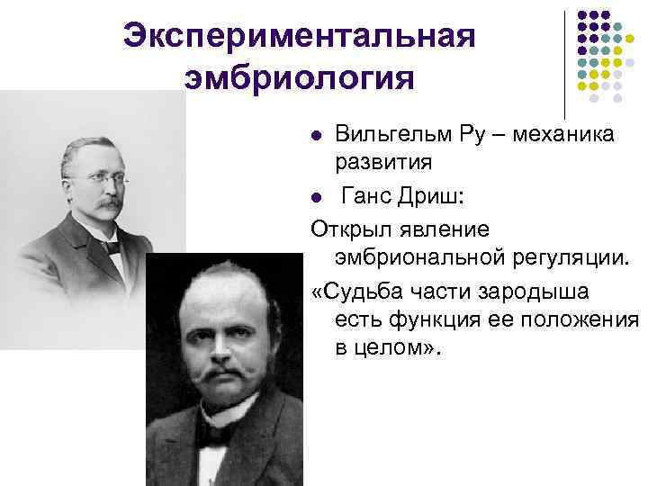 Экспериментальная эмбриология Вильгельм Ру – механика развития l Ганс Дриш: Открыл явление эмбриональной регуляции.