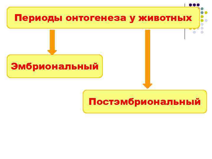 Периоды онтогенеза у животных Эмбриональный Постэмбриональный 