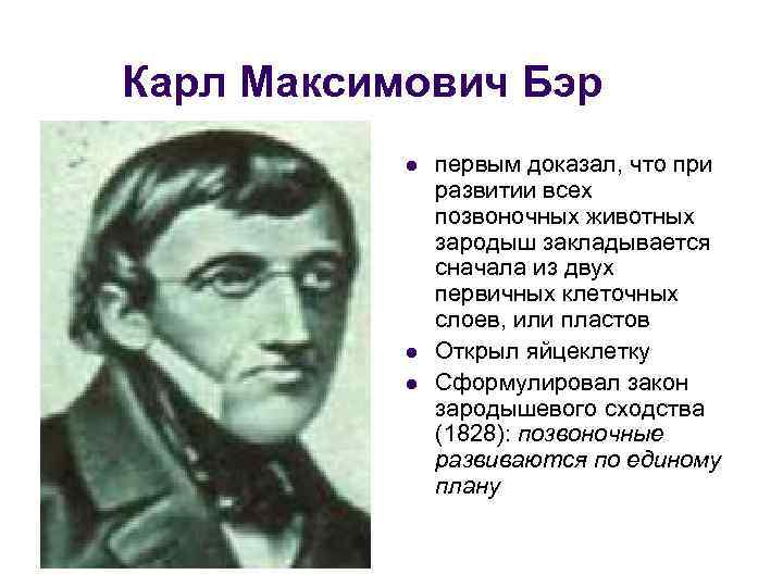 Карл Максимович Бэр l l l первым доказал, что при развитии всех позвоночных животных