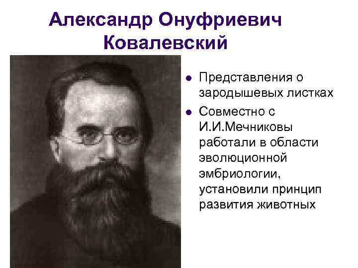 Александр Онуфриевич Ковалевский l l Представления о зародышевых листках Совместно с И. И. Мечниковы