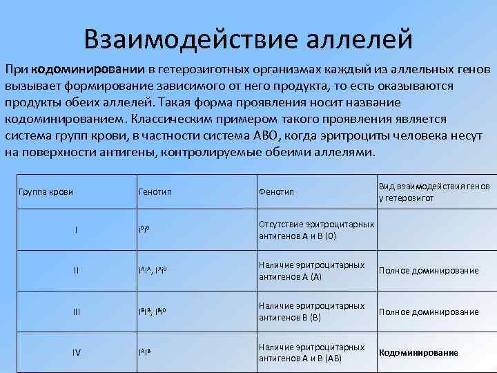      Взаимодействие аллелей При кодоминировании в гетерозиготных организмах каждый из