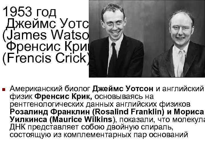 1953 год Джеймс Уотсон (James Watson) Френсис Крик (Frencis Crick) n  Американский биолог