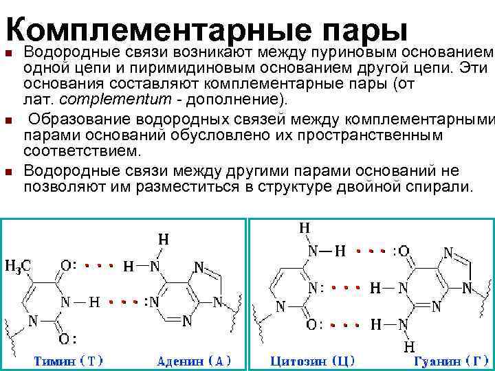 Комплементарные пары азотистых оснований. Комплементарные пары нуклеиновых оснований. Комплементарные пуриновые и пиримидиновые основания ДНК. Водородные связи в комплементарных парах нуклеиновых оснований РНК. Комплиментарная пара